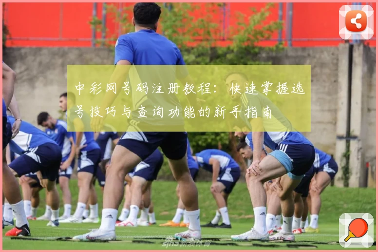 中彩网号码注册教程：快速掌握选号技巧与查询功能的新手指南