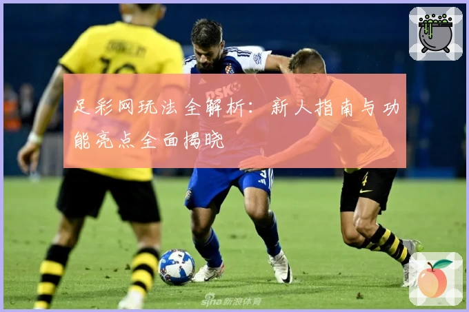 足彩网玩法全解析：新人指南与功能亮点全面揭晓