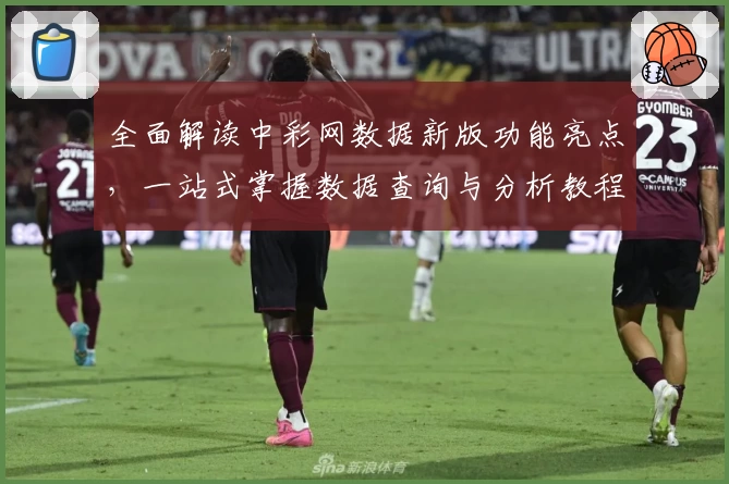 全面解读中彩网数据新版功能亮点，一站式掌握数据查询与分析教程