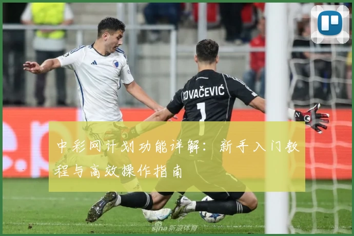 中彩网计划功能详解：新手入门教程与高效操作指南